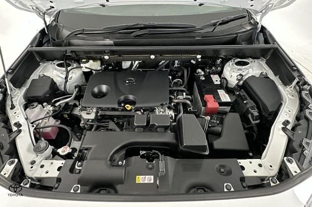 2022 Toyota RAV4 Cruiser 2WD image 30