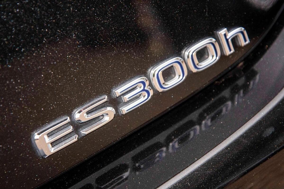 2024 Lexus ES ES300h Sports Luxury Auto image 12