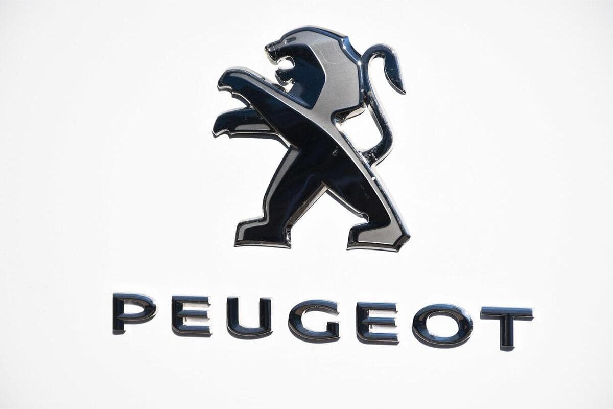 2024 Peugeot Expert Pro Long Auto image 10
