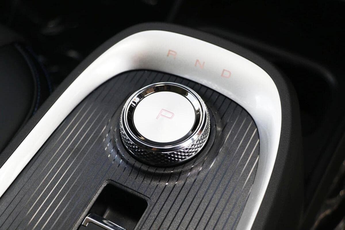 2025 GWM Ora Standard Range Auto image 15