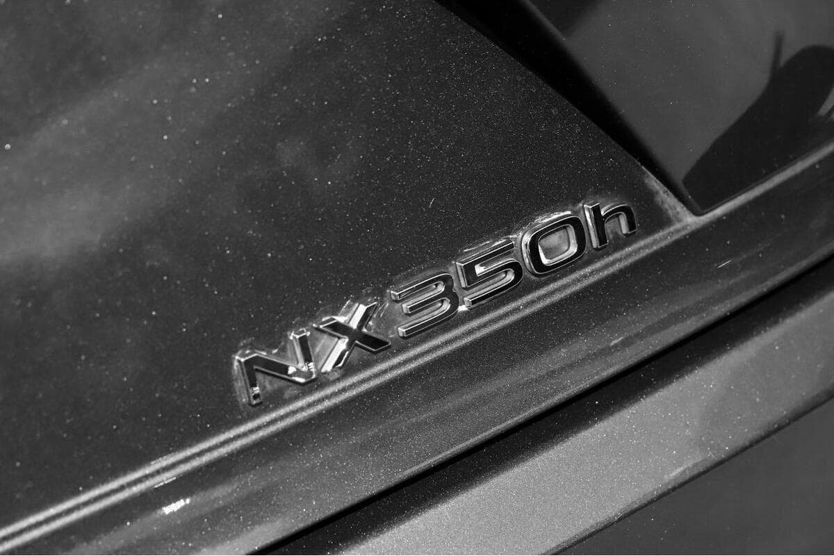 2024 Lexus NX NX350h Sports Luxury Auto 2WD image 6
